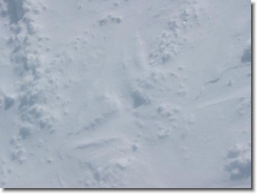 Klik hier voor de originele foto